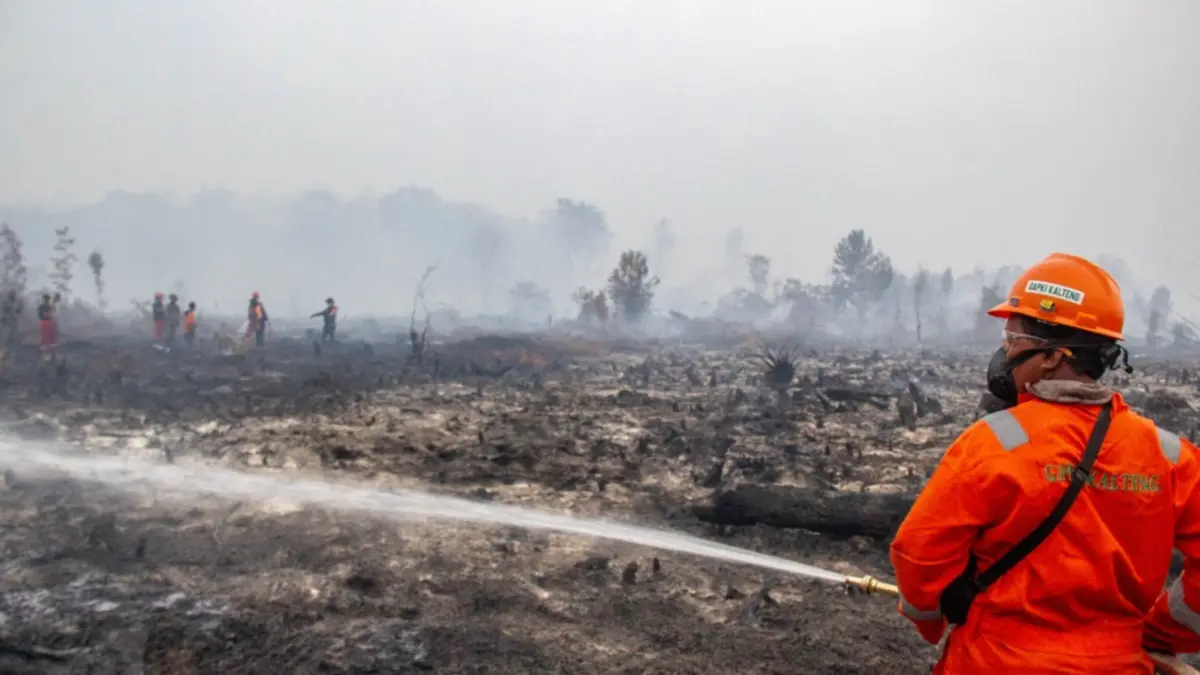 Pembasahan di lahan gambut. Pemko Palangka Raya dorong pembangunan sumur bor.(Arief Prathama/Kalteng Pos)