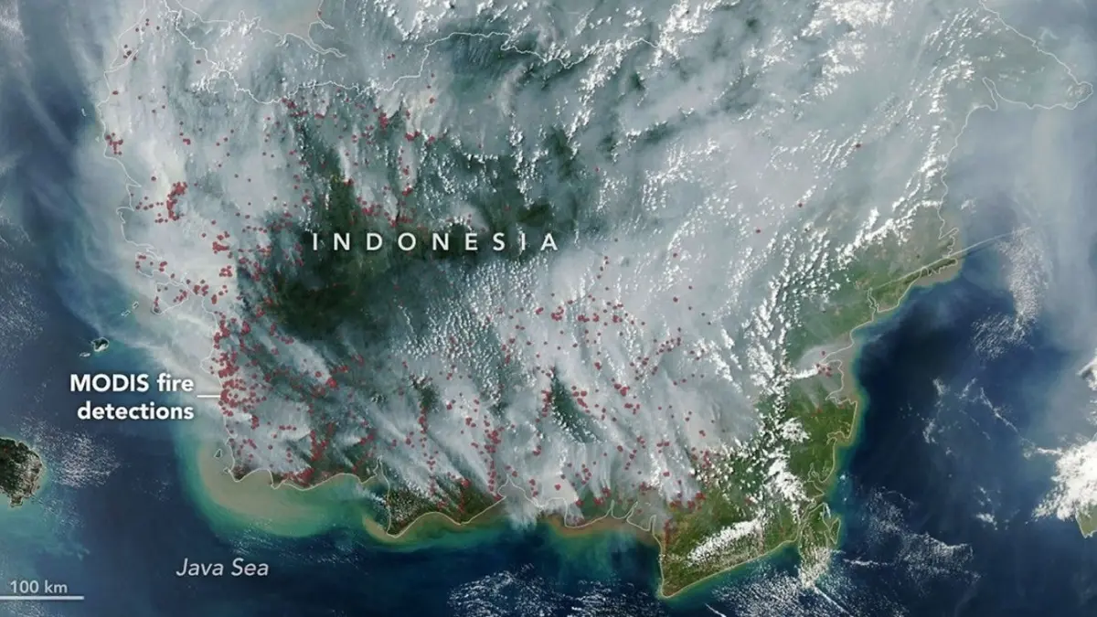 Pulau Kalimantan dari radar satelit NASA.(Instagram)