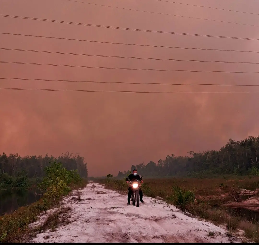 Kebakaran lahan Gambut di Tjilik Riwut Km 21.(Agus Pramono/kaltengpos.jawapos.com)