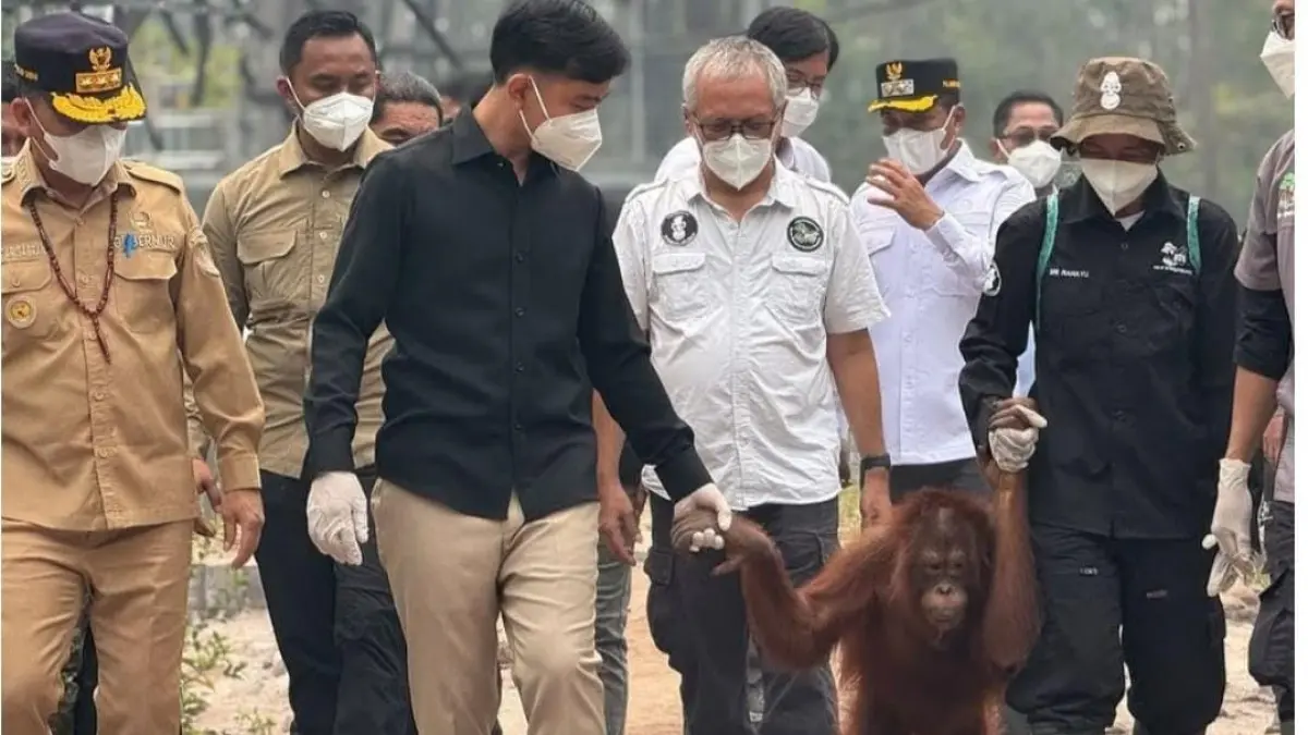 Wakil Presiden saat mengunjungi tempat orangutan.(Setpres)