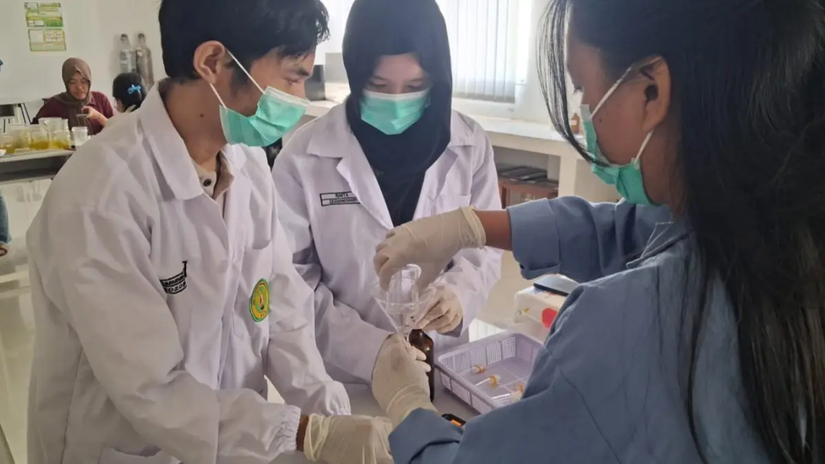 Mahasiswa UPR saat melakukan proses penelitian berbasis bahan alam khas Kalteng. (Iyan/Kalteng Pos)