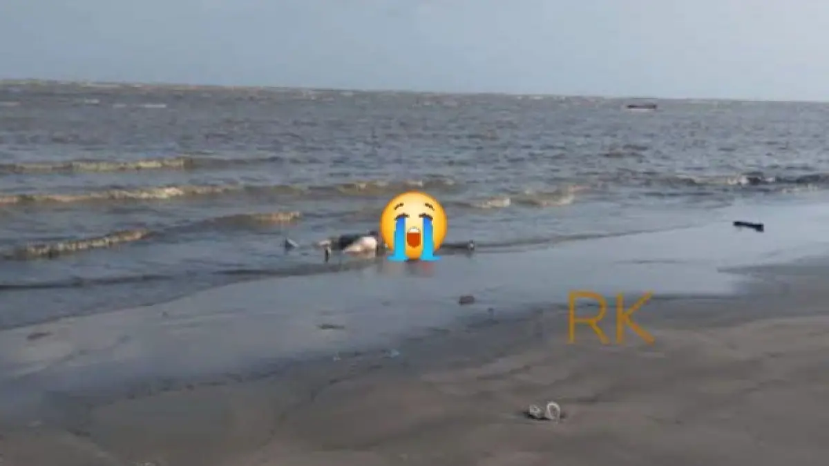 Sesosok mayat ditemukan di pesisir Sungai Perlu.(Warga)