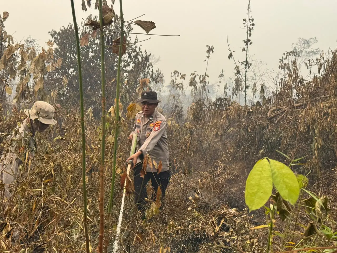 Personel Polsek Pulau Hanaut melakukan pemadaman.