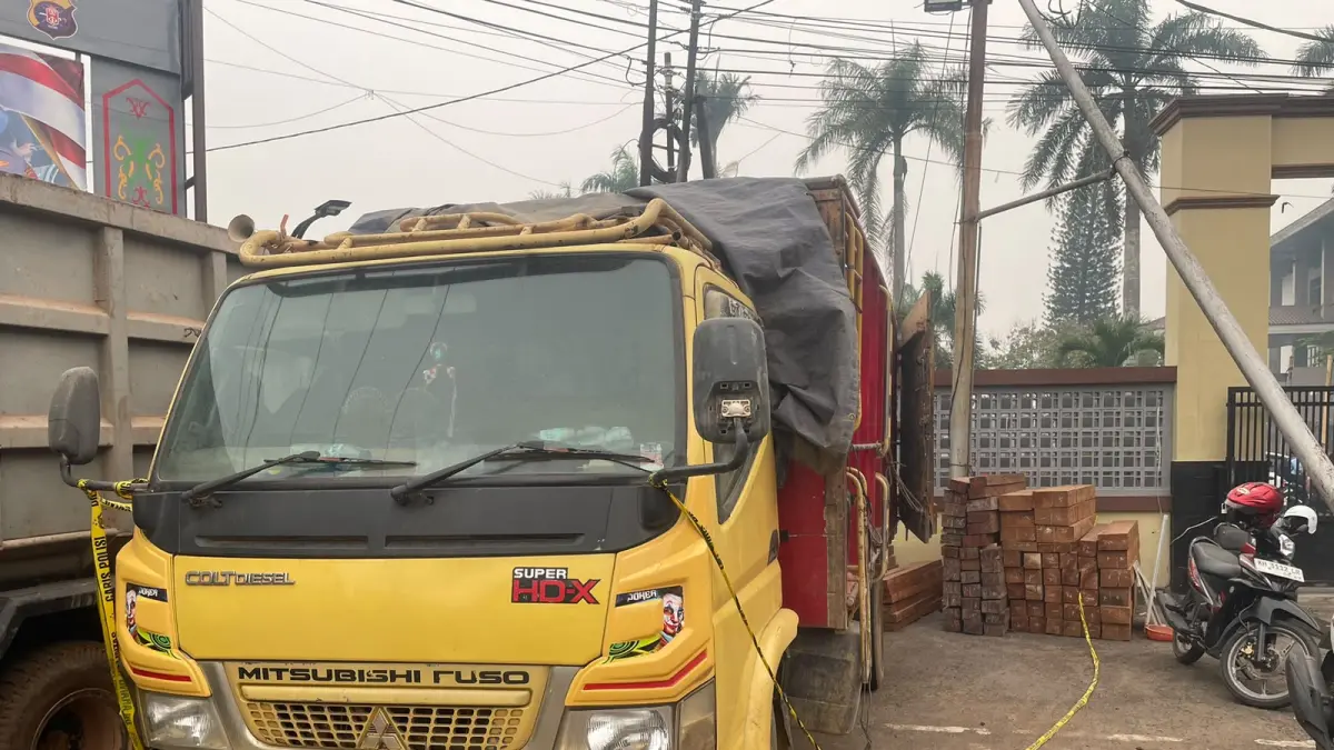 Barang bukti kayu ilegal.(Humas)