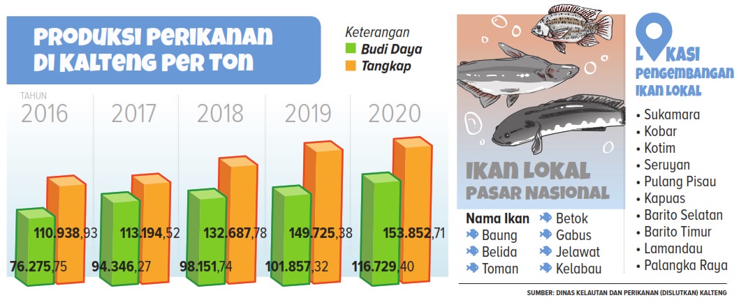 GRAFIS PERIKANAN-KALTENG POS