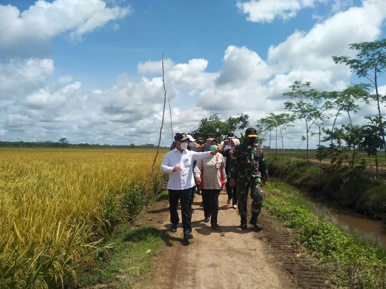 KAWASAN FOOD ESTATE (MMC KALTENG)