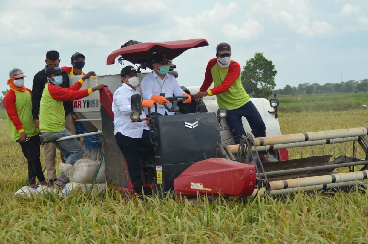 PERTANIAN MODERN:Peralatan modern digunakan untuk membantu petani di kawasan food estate Pulpis dan Kapuas. Pemerintah juga memberikan bimbingan kepada korporasi petani yang sudah terbentuk di dua daerah tersebut. FOTO: DOK.HUMAS UNTUK KALTENG POS