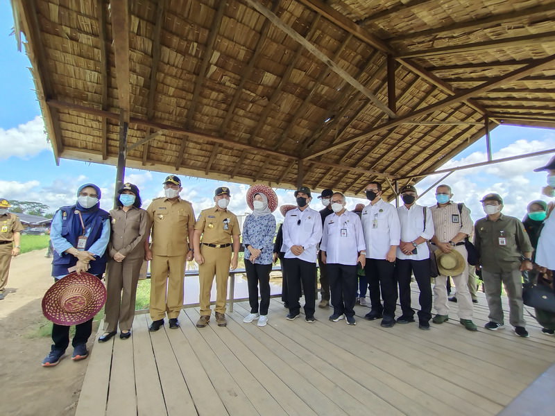 LUMBUNG PANGAN: Gubernur Kalteng H Sugianto Sabran dan Wakil Gubernur H Edy Pratowo meninjau lokasi food estate di Desa Belanti Siam, Senin (28/6). FOTO: EMANUEL LIU/KALTENG POS