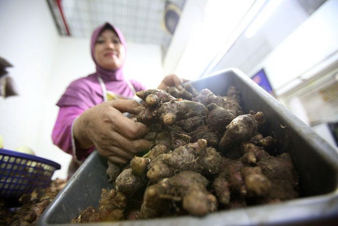 MENINGKATKAN IMUN:  Konsentrat jahe dapat meningkatkan daya tahan tubuh dan fungsi pernapasan 12x lebih kuat dibandingkan dengan jahe segar. (FOTO: MIFTAHULHAYAT/JAWA POS)