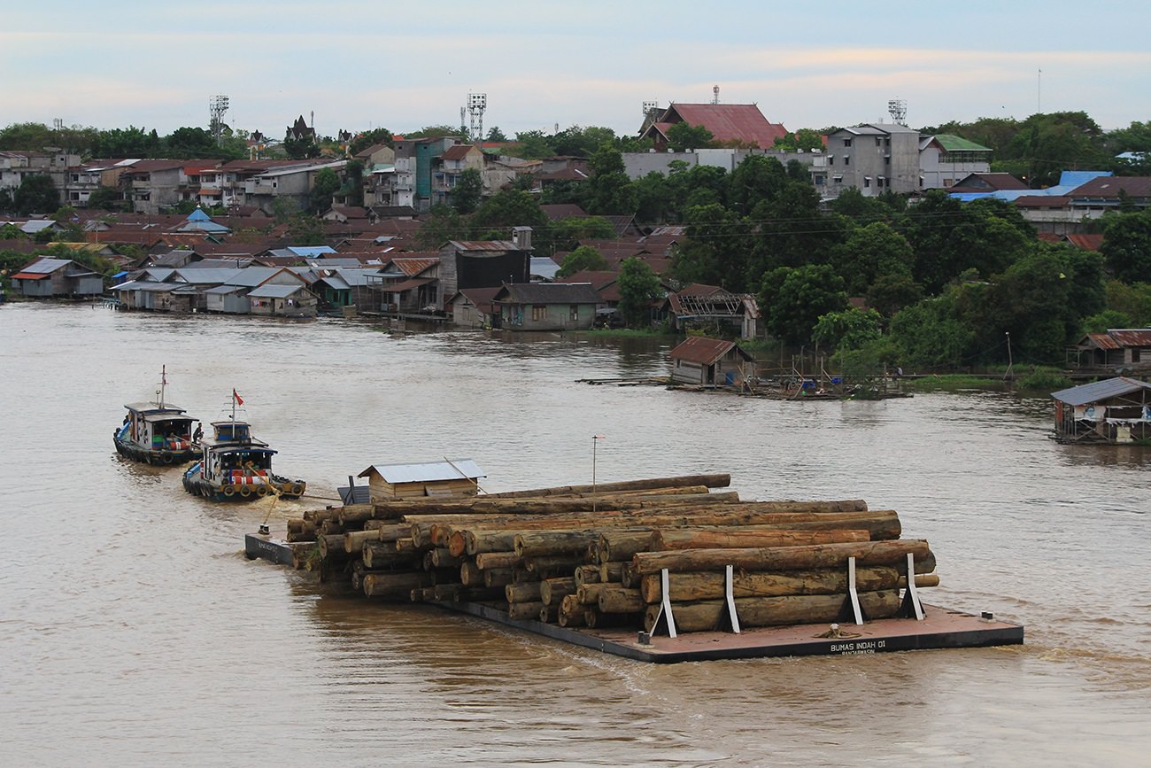 MELINTAS LAGI: Dua ­tugboat menarik tongkang penuh dengan muatan kayu saat melintas di Sungai Kahayan, Kamis sore (16/9).