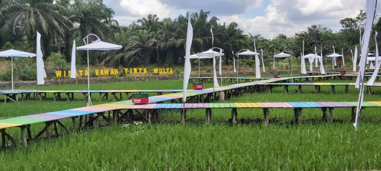 TEMPAT WISATA: Sawah tirta mulya di Desa Pangkalan Dewa jadi wisata alam yang nyaman dan indah. Bupati Kobar Hj Nurhidayah baru saja meresmikan kawasan sawah ini menjadi destinasi wisata baru di Kobar. (SONY/ KALTENG POS)