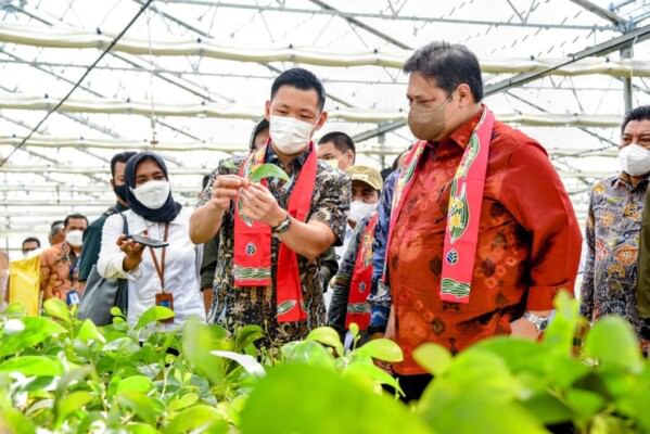 KUNJUNGAN: Kunjungan kerja Menko Airlangga Hartarto ke Proyek Investasi Asia Pacific Resources International Limited (APRIL) Group di Pangkalan Kerinci, Kabupaten Pelalawan, Provinsi Riau, Selasa (29/3).