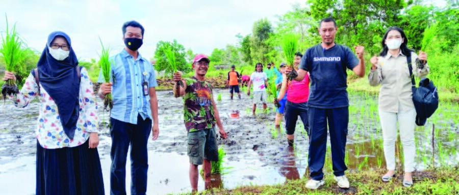 MELAKSANAKAN TUGAS : Lurah Bukit Tunggal Subhan Noor (dua dari kanan) meninjau lahan gambut yang dikelola masyarakat sekitar Jalan Hiu Putih Palangka Raya, beberapa waktu lalu.