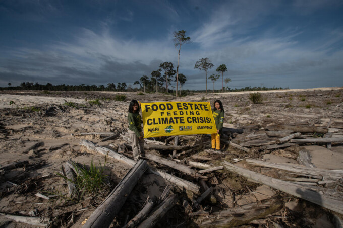 Sekelompok pegiat lingkungan membentangkan spanduk di kawasan Food Estate Singkong di Desa Tewai Baru, Kecamatan Sepang, Kamis (10/11/2022). GREENPEACE/ KALTENG POS