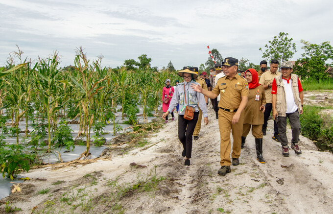 Gubernur Kalteng H Sugianto Sabran mewacanakan akan membangun kandang ayam berskala besar di lokasi Tangkiling Km 38. ARIEF PRATHAMA/KALTENG POS