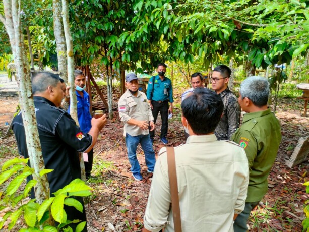 KUNJUNGAN:  Anggota Komisi II DPRD Kalteng laksanakan kunjungan ke Kabupaten Pulang Pisau meninjau ternak madu kelulut dan bersama Pemda Pulpis monitoring pelaksanaan foot estate, belum lama ini. (FOTO: HUMAS DPRD UNTUK KALTENG POS )
