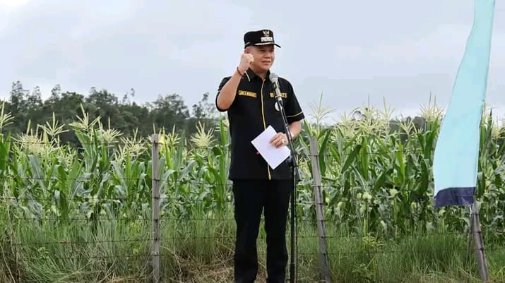 SAMBUTAN:  Bupati Gunung Mas Jaya Samaya Monong saat sambutan p[ada suatu kegiatan tentang pentingnya mengingatkan kajian lingkungan hidup strategis, beberapa waktu lalu.