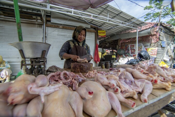 MASIH MAHAL: Pedagang ayam ras membersihkan ayam jualannya dipasar Besar,Palangka Raya, Senin (5/6).