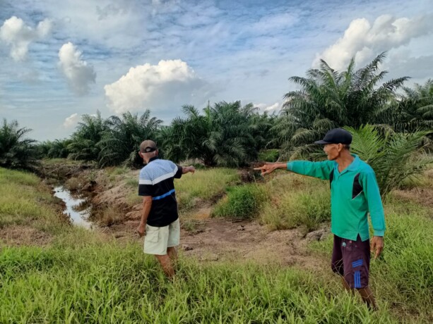 LAHAN SENGKETA: Marjono (mengenakan kaus hijau) dan Sarimin menunjukkan lahan bersertifikat milik warga yang telah digarap perusahaan, Selasa (18/7).ART/KALTENG POS