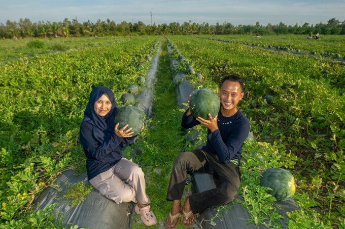 ARIEF PRATHAMA/KALTENG POS MENGINSPIRASI: Muhammad Fakhrully Akbar dan Nadia Prasasti Pratiwi, pasutri muda yang terjun ke dunia pertanian. Keduanya memiliki kebun semangka dan jeruk Pontianak di Kelurahan Pager, Kecamatan Rakumpit.