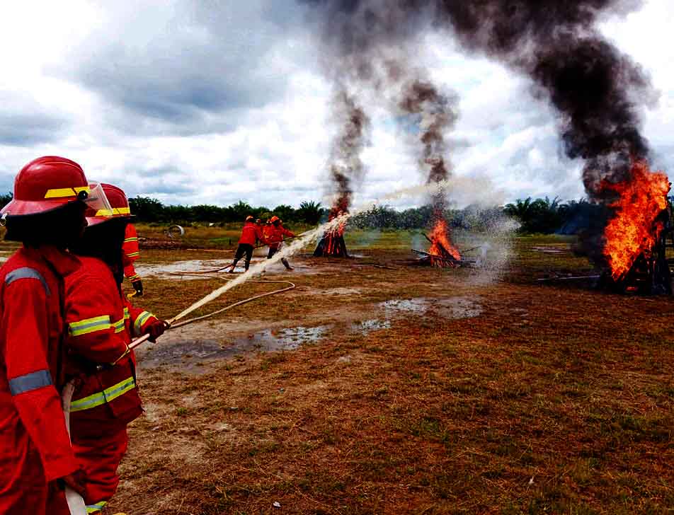 PELATIHAN : Peserta Bimtek pengendalian Karhutla dan Brigade Dalkarhutla melakukan praktik pengendalian karhutla yang dilaksanakan PT AGL dan PT CTAA.