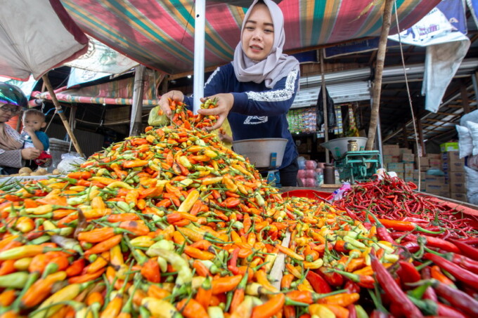 PANGAN MAHAL: Cabai menjadi komoditas pangan yang mengalami kenaikan harga dalam beberapa pekan terakhir. Tampak Mufida, pedagang cabai sedang melayani pembeli di Pasar Besar, Palangka Raya, Rabu (21/2). FOTO: ARIEF PRATHAMA/KALTENG POS