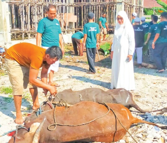 SERAH TERIMA : Kepala Diskop Kalteng Hj Norhani bersama Pengurus Masjid saat melihat pemotongan hewan kurban di Masjid Siti Watiah Palangka Raya, Senin (17/6).