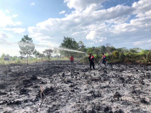 MEMADAMKAN: Beberapa anggota BPBD Kotim saat melakukan pemadaman api yang membakar lahan Jalan Antang Barat, Kecamatan Baamang, Minggu (14/7/2024).