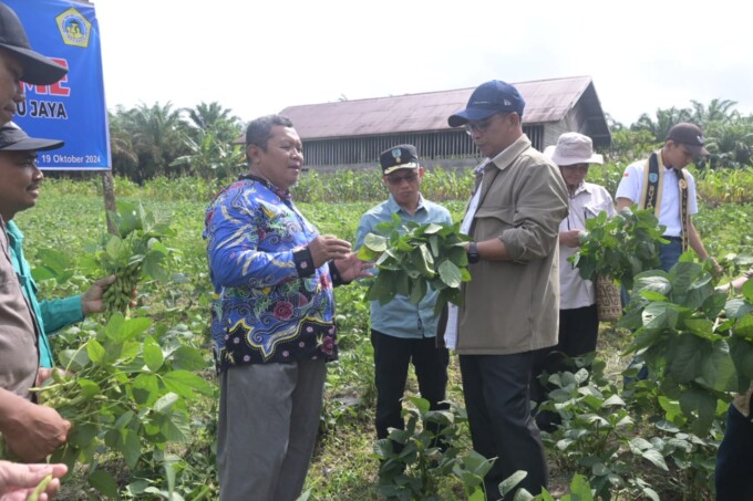 PANEN PERDANA: Pj Bupati Lamandau, Said Salim, melaksanakan panen perdana Kedelai Edamame di Desa Jangkar Prima, Kecamatan Sematu Jaya, belum lama ini.