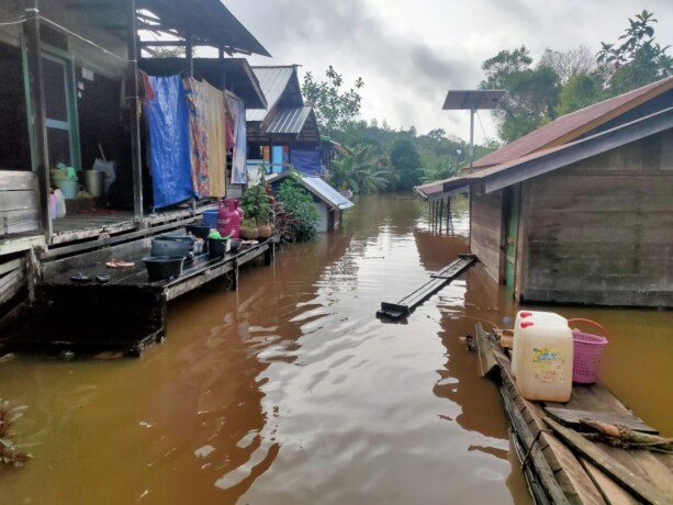 KEBANJIRAN : Banjir menerjang rumah warga di Kecamatan Seribu Riam, Kabupaten Murung Raya, Jumat (18/10/2024).