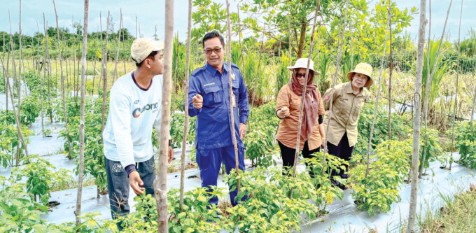 BERBINCANG : Kepala Dinas Pertanian dan Ketahanan Pangan Kota Palangka Raya Sugiyanto SPt MSi (dua dari kiri) ketika mengunjungi area tanam cabai Kelompok Tani Agro Sukses Bersama, di Kelurahan Petuk Bukit, Selasa (21/1).