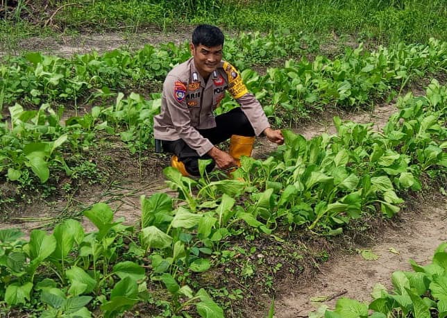 Bhabinkamtibmas Bripka Era Widiyantoro, aktif melakukan pengecekan lahan serta memberikan pembinaan kepada masyarakat.