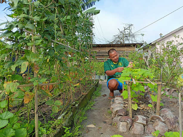 Ilustrasi berkebun. AGUS PRAMONO/KALTENG POS