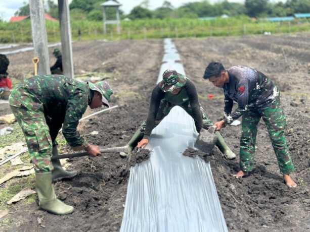PASANG PLASTIK : Satgas TMMD saat memasang plastik Mulsa guna mendukung ketahanan pangan.