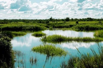 Danau Malawen di Kabupaten Barito Selatan.