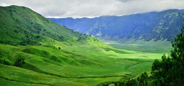 Sabana Bromo Tengger Semeru di Kabupaten Lumajang.