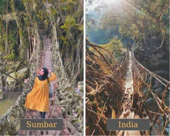 Wisata Jembatan Akar Bayang (kiri), Cherrapunjee India (kanan).