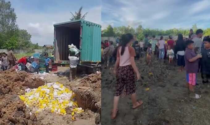 Aksi warga di Bagan Asahan, Kecamatan Tanjung Balai, Kabupaten Asahanyang membongkar mangga yang akan dimusnahkan oleh Bea Cukai Nibung.