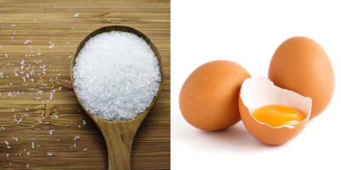 Micin dan telur. ALODOKTER