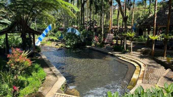 Wisata Taman Nasional Alas Purwo.