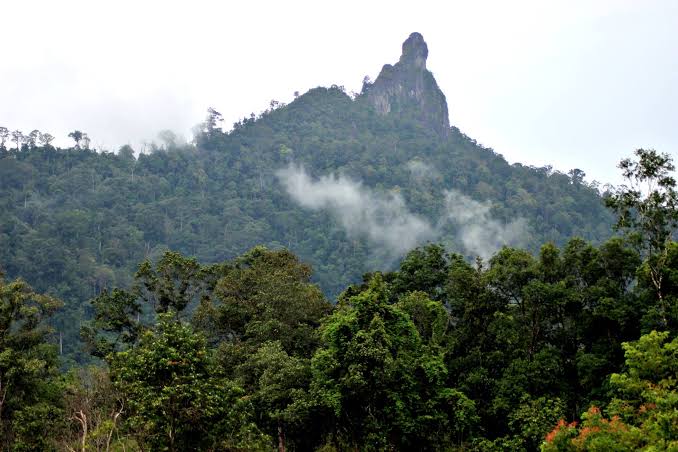 Bukit Kubau, Lamandau
