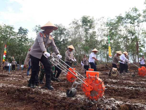 MENANAM: Kapolda Kalteng Irjen Pol Iwan Kurniawan, menanam jagung kuartal III di lahan perhutanan sosial Desa Kalawa, Kecamatan Kahayan Hilir. HUMAS