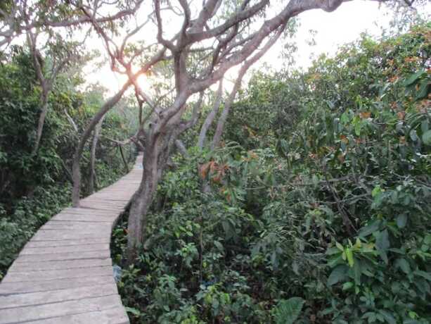 Pulau Kembang Kalimantan Selatan.