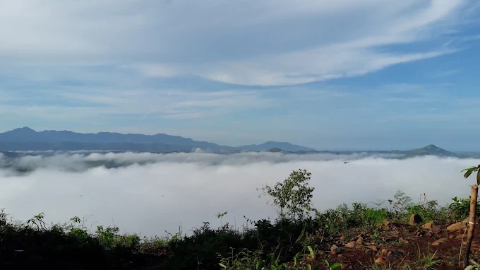 Pemandangan dari atas Tahura Sultan Adam, Kalimantan Selatan.