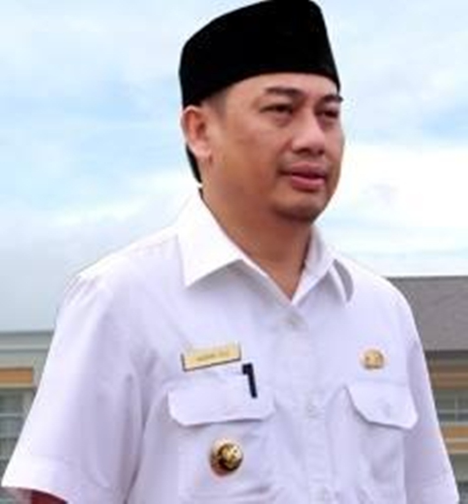Bupati Bone Bolango, Hamim Pou (dok)