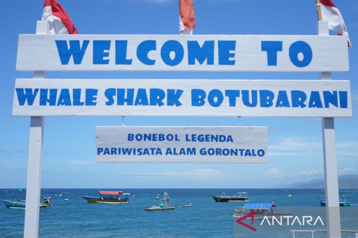 Sejumlah wisatawan mengunjungi objek wisata Hiu Paus di Desa Botubarani, Kabupaten Bone Bolango, Gorontalo, Minggu (27/8/2023). ANTARA/Adiwinata Solihin