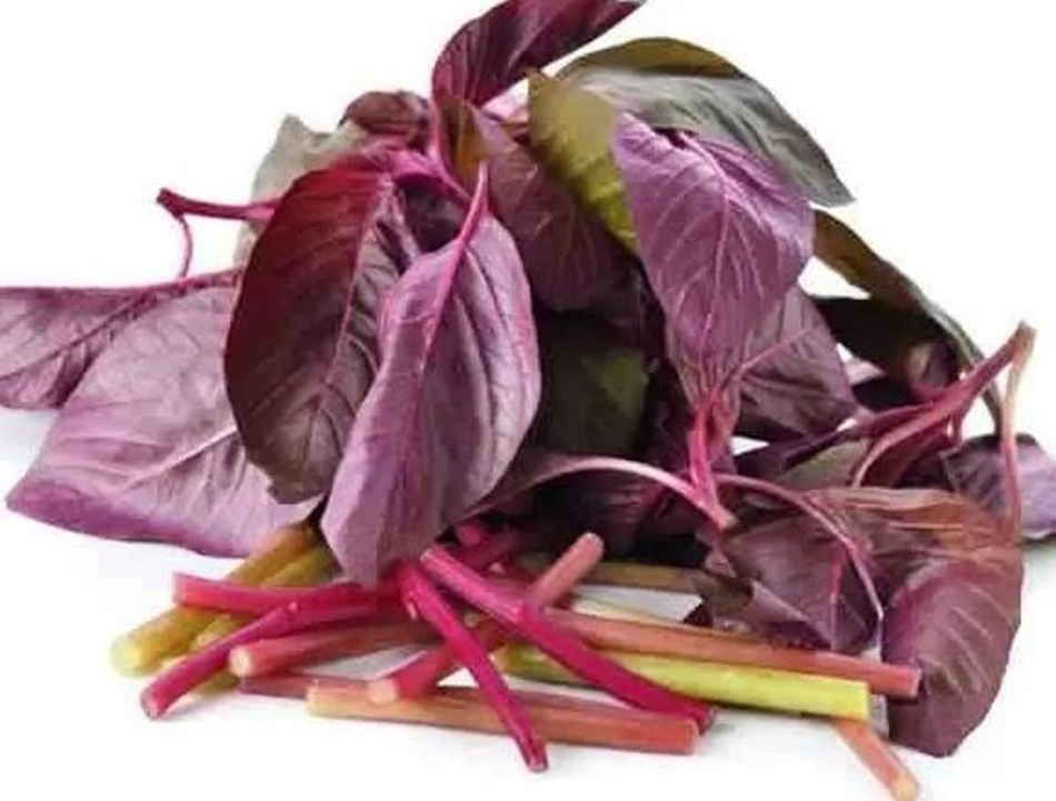 Jarang orang mengetahui manfaat Sayur bayam merah  (JpC)