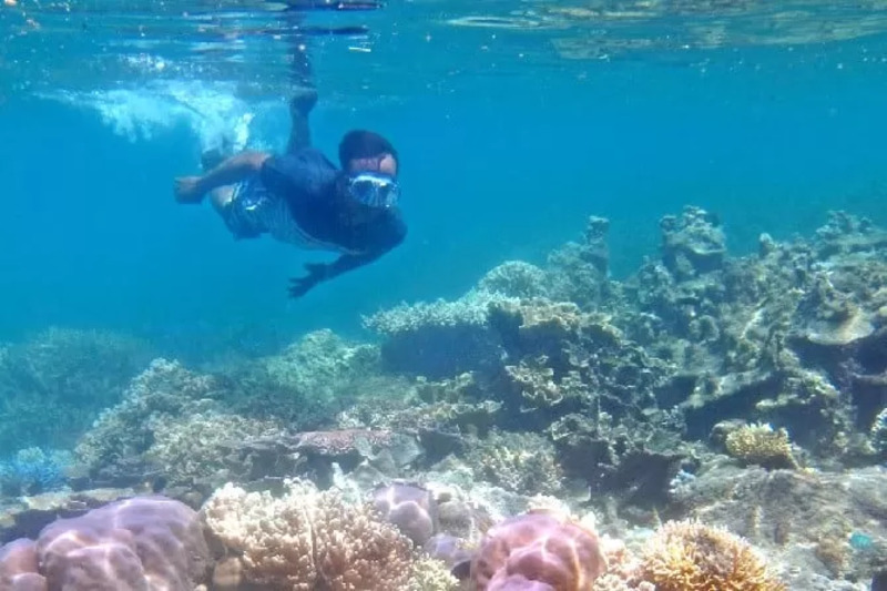 Ilustrasi snorkeling menjadi aktivitas favorit wisatawan. (Guslan Gumilang/Jawa Pos)