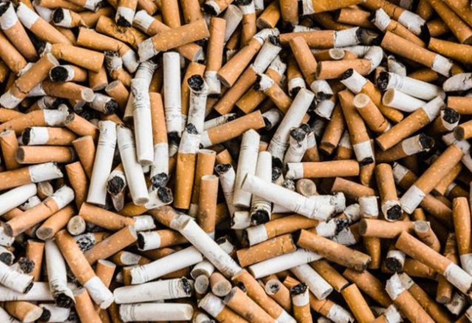 Dana Pajak rokok dikucurkan pemerintah pusat ke daerah-daerah salah satunya di Provinsi Gorontalo.(Ilustrasi rokok)