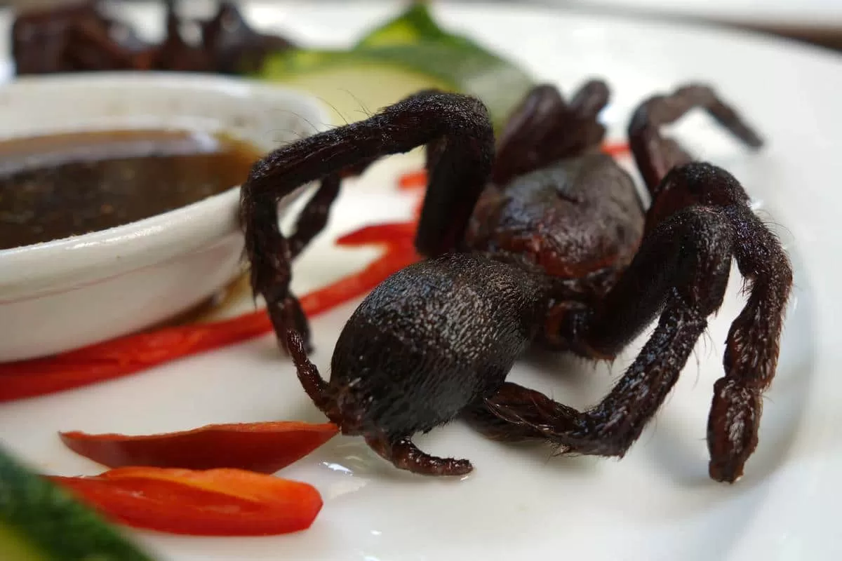 Hidangan tarantula goreng, makanan khas dari Kamboja. (retreatours.com)